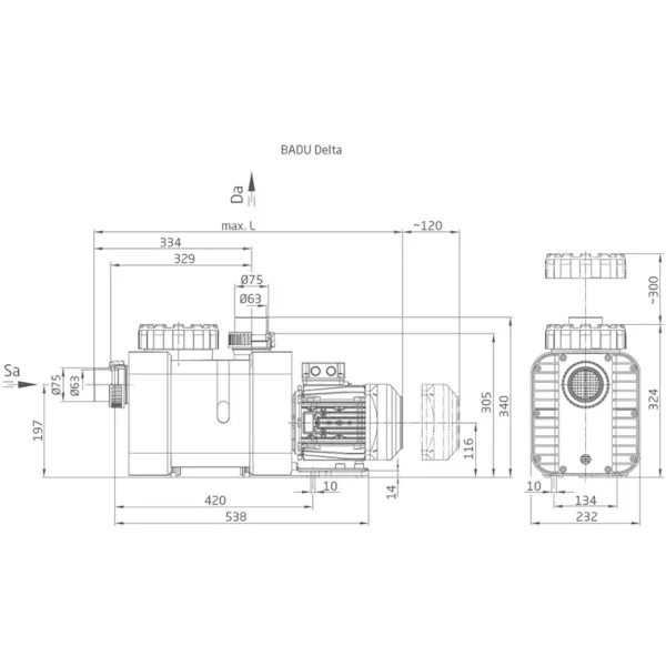 Siurblys Badu Delta 9 | Speck Pumpen - Image 2