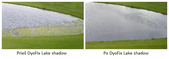 DYOFIX SGP SHADOW 100 TVENKINIAMS NUO DUMBLIŲ - Image 3